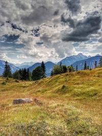 Scenic view of field against sky