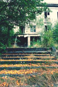 Built structure with trees in background