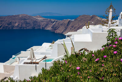 Beautiful white houses and buildings in santorini island