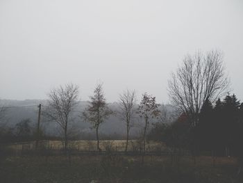 Bare trees on field against clear sky