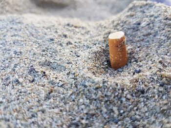 Close-up of cigarette on sand