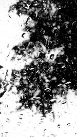 Close-up of wet window in rainy season