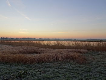 Scenic view of field against sky during sunset