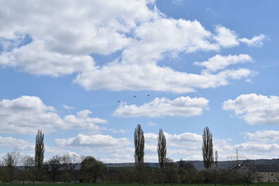 Low angle view of sky
