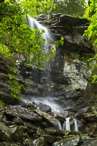 View of waterfall in forest
