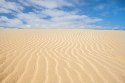 Sand dune in desert against sky