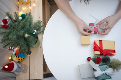 Cropped hands of woman holding christmas tree