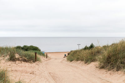 Scenic view of beach against sky