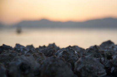 Close-up of rocks on beach against sky during sunset