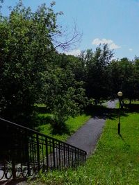 Trees in park