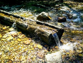 Rocks in sea
