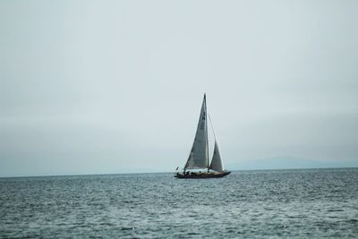 Sailboat sailing on sea against sky