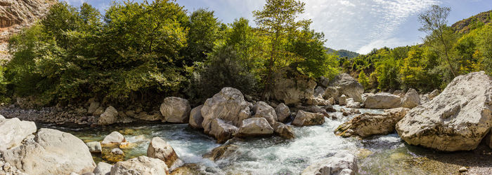 River amidst trees in forest against sky