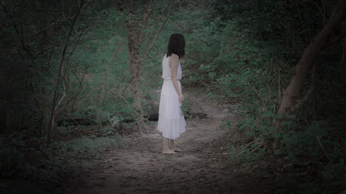 Rear view of woman standing by trees in forest