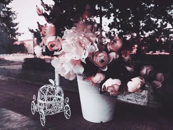 Close-up of potted plant on table