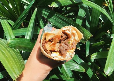 Close-up of hand holding sandwich wrap