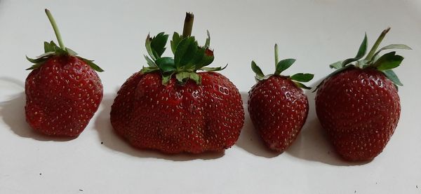 Close-up of strawberries