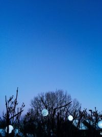 Low angle view of trees against clear blue sky