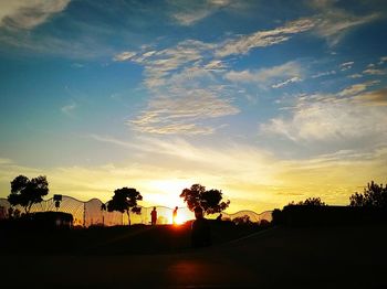 Palm trees at sunset