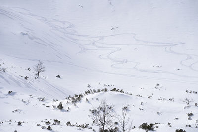 Simple winter alpine landscape covered with snow and some ski trails, slovakia, europe