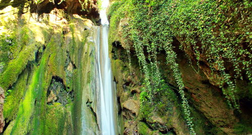 High angle view of waterfall in forest