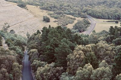 High angle view of road amidst trees