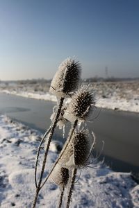 Close-up of snow against sky