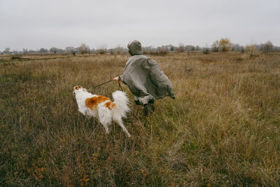 Full length of a dog on field