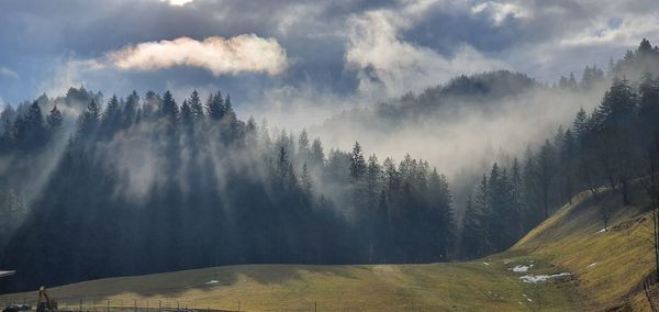 Panoramic view of trees on mountain against sky