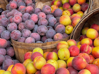 Full frame shot of fruits