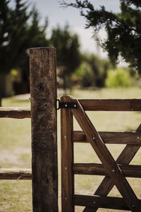 Close-up of wooden fence