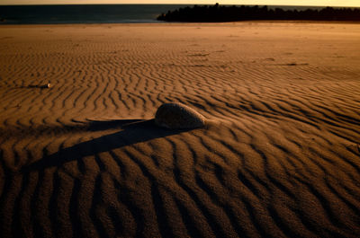 High angle view of sand dune on beach