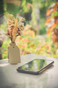 Close-up of flower vase on table
