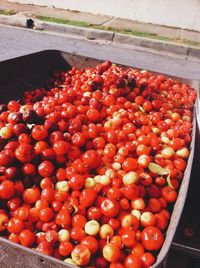 Close-up of red chili peppers