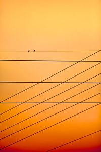 Low angle view of silhouette birds perching on power line against orange sky