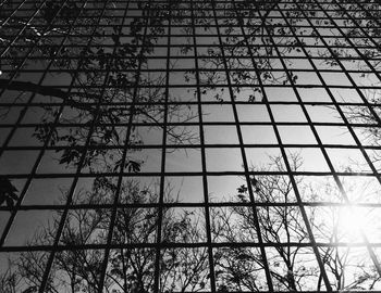 Low angle view of trees seen from metal grate