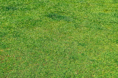 High angle view of soccer field