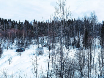 Bare trees by lake against sky during winter