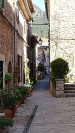 Alley in front of building