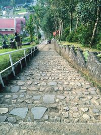 Walkway leading to building