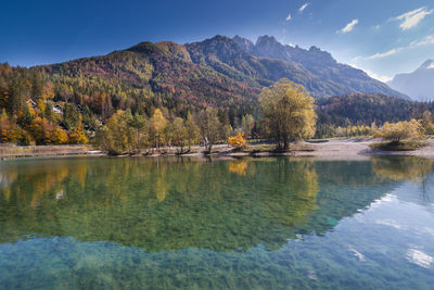 Scenic view of lake by trees against sky