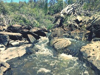 Stream flowing through rocks