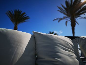 Close-up of palm trees against blue sky