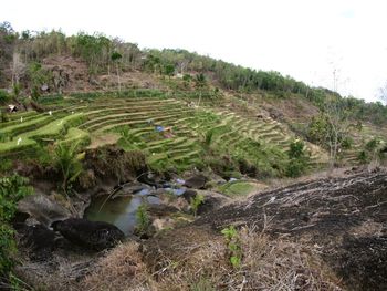 Scenic view of land against clear sky