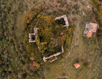 High angle view of tree during autumn