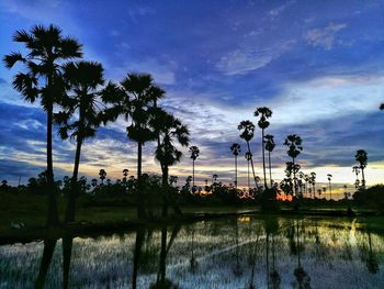 Silhouette palm trees by lake against sky