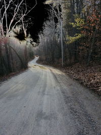 Empty road along trees