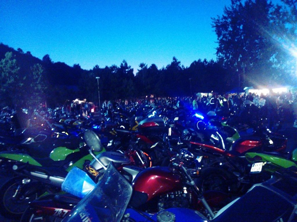 clear sky, crowd, blue, illuminated, large group of people, night, celebration, person, copy space, tree, event, sky, field, outdoors, light - natural phenomenon, music, arts culture and entertainment, dusk, nightlife