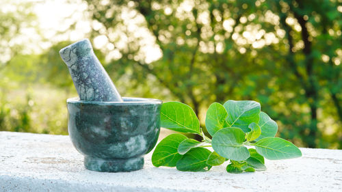 Close-up of mortar and pestle