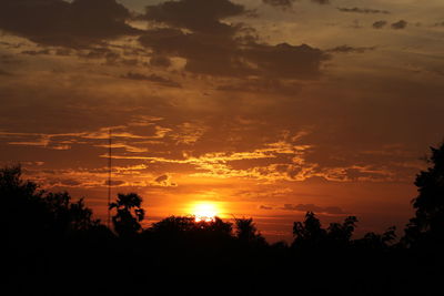 Silhouette trees against sky during sunset